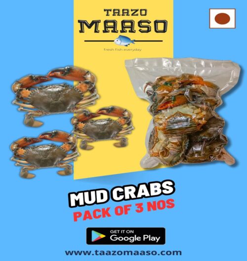 Mud Crabs Mix Size<br><b  style="color:red; font-size:15px">Per: Pack of 3 nos (upto 500 gms)</b>