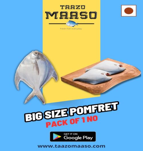 Silver Pomfret - Big (If Available)<br><b  style="color:red; font-size:15px">Per: Pack of 1 nos (upto 350 gms)</b>