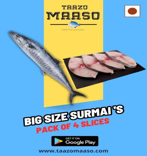 Surmai - Big Size<br><b  style="color:red; font-size:15px">Per: Pack of 4 Slices (No Head & Tail)</b>