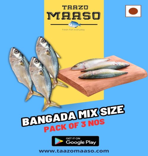Bangada Mix size (Whole - Head Cleaned)<br><b  style="color:red; font-size:15px">Per: Pack of 3 nos </b>