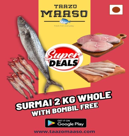 2 KG Surmai with Bombil free<br><b  style="color:red; font-size:15px">Per: Pack of 1</b>