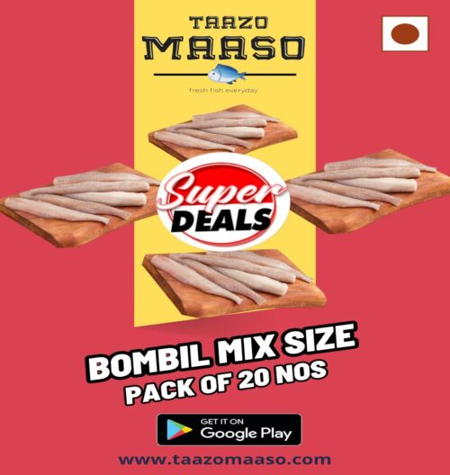 Bombay duck Bombil <br><b  style="color:red; font-size:15px">Per: Pack of 20 + 2 free -Mix Size</b>