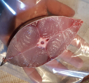 Screenshot_2024_0411_233405