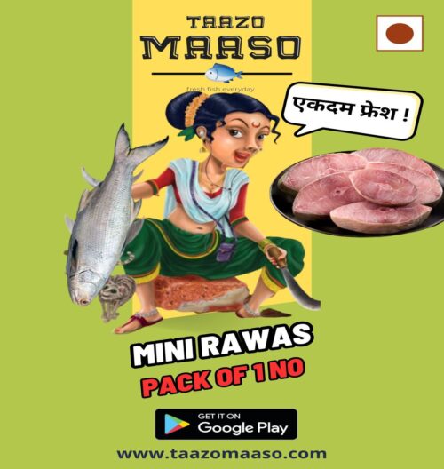 Mini Rawas (Cut in Steaks)<br><b  style="color:red; font-size:15px">Per: 1 nos</b>