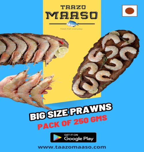 Big Size Prawns<br><b  style="color:red; font-size:15px">Per: 250 gm-Gross (125 gm-Net wt.-5 to 6 nos)</b>