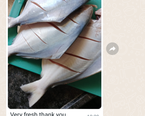 Screenshot_2024_0216_104048